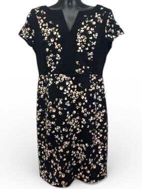 Covington Black Floral Sheath Dress V Neck Short Sleeve Size M